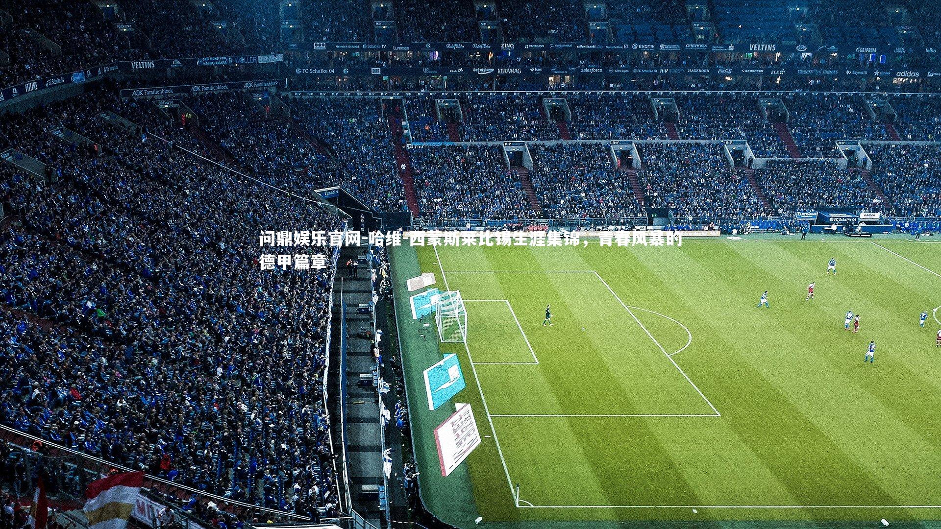 哈维-西蒙斯莱比锡生涯集锦，青春风暴的德甲篇章